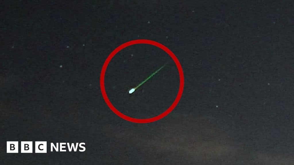 Perseids meteor shower lights up night skies